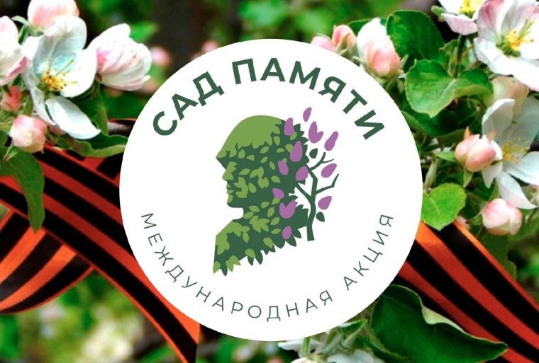 "Сад памяти" и "Кедры России".